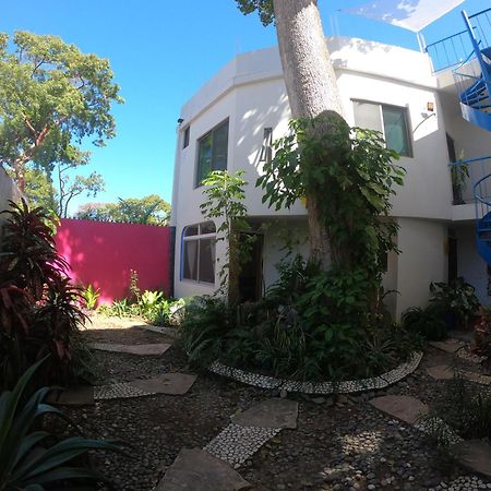 Casa Arbol De Paz Habitacion Doble Chacala  Kültér fotó
