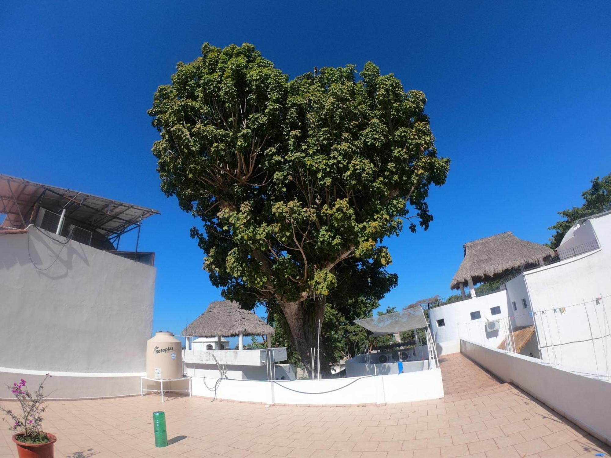 Casa Arbol De Paz Habitacion Doble Chacala  Kültér fotó