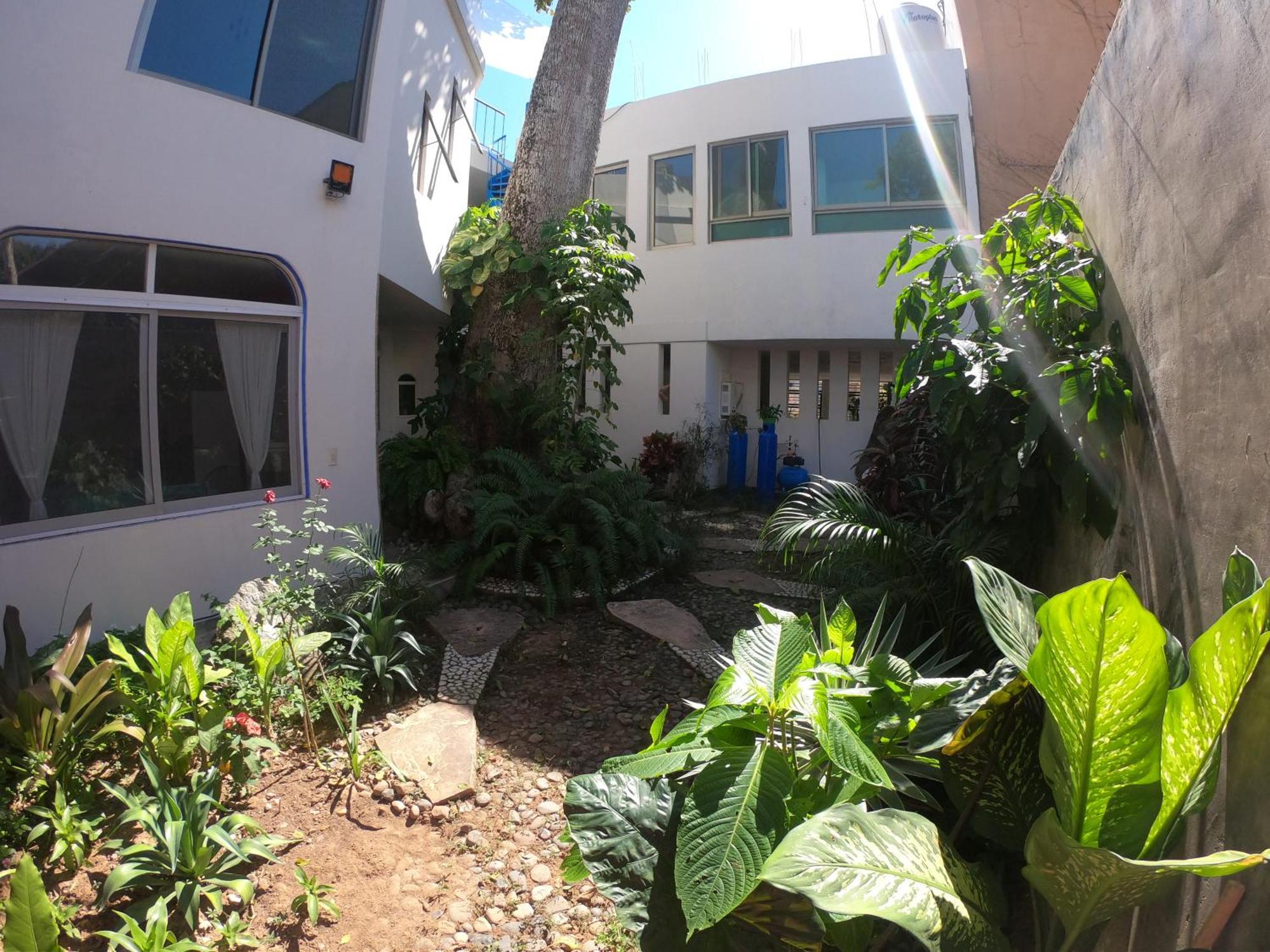 Casa Arbol De Paz Habitacion Doble Chacala  Kültér fotó