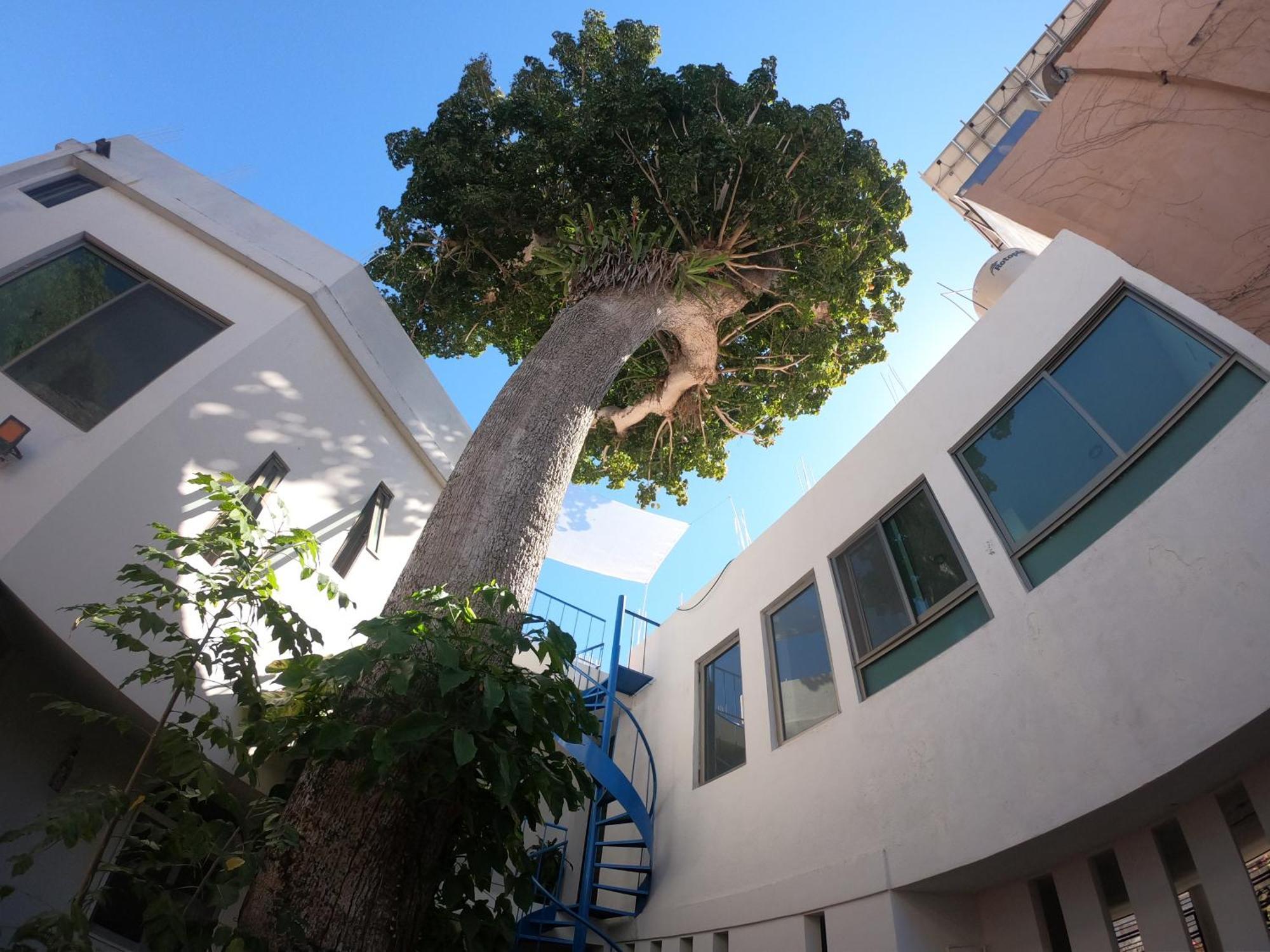 Casa Arbol De Paz Habitacion Doble Chacala  Kültér fotó